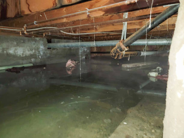 Best Sewage cleanup and water damage restoration  in Cherry Hill Mall, NJ