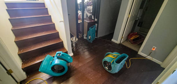 Best Water damage repair service  in Cherry Hill Mall, NJ