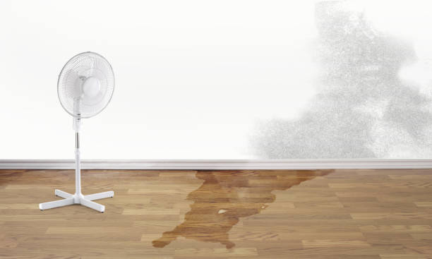 Best Basement water damage restoration  in Cherry Hill Mall, NJ