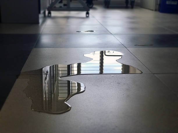 Best Water damage mitigation services  in Cherry Hill Mall, NJ