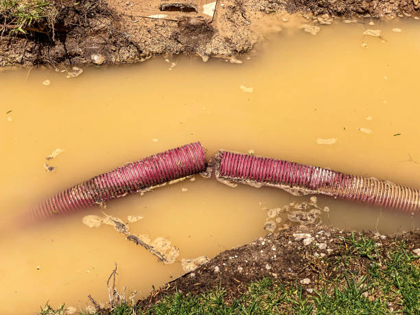 Best Flood restoration services  in Cherry Hill Mall, NJ